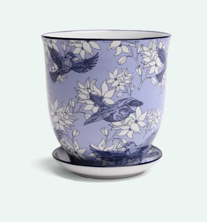 Liberte Porcelain Pot And Saucer - 12 Styles/2 Sizes