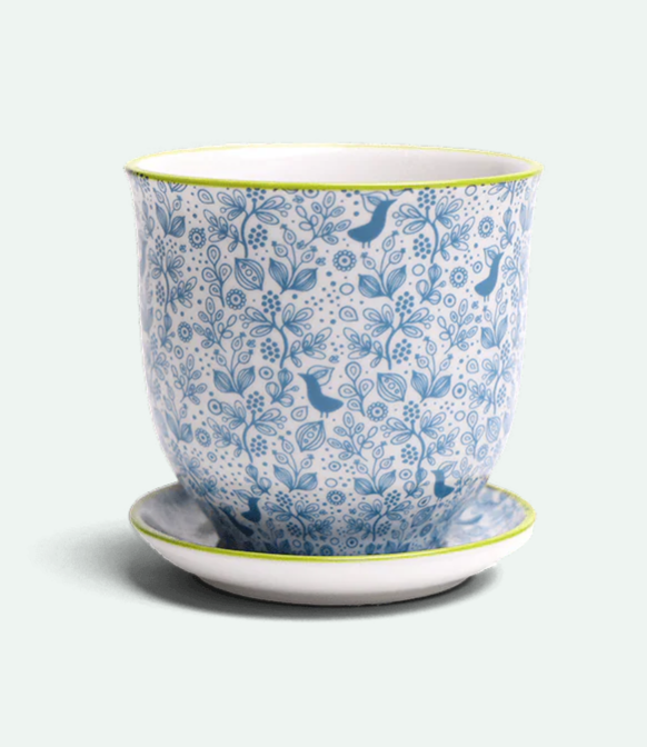 Liberte Porcelain Pot And Saucer - 12 Styles/2 Sizes