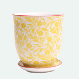 Liberte Porcelain Pot And Saucer - 20 Styles/2 Sizes