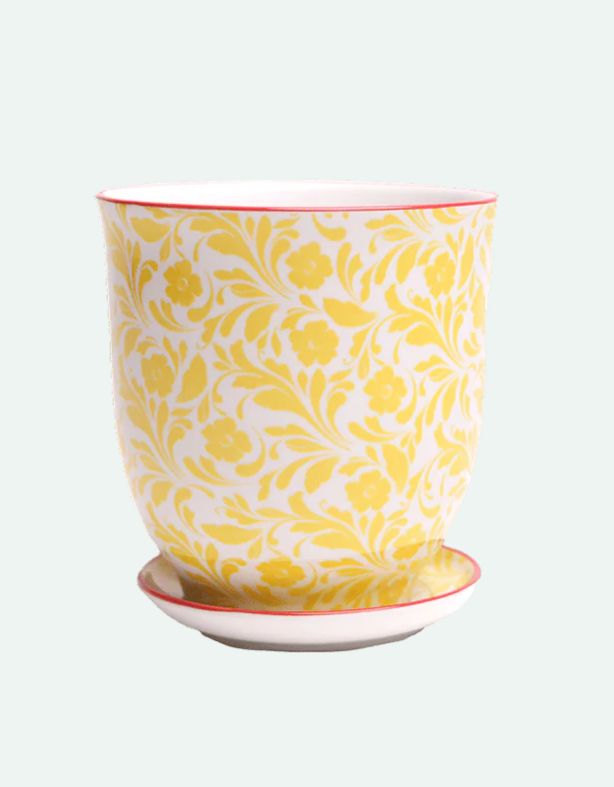 Liberte Porcelain Pot And Saucer - 12 Styles/2 Sizes