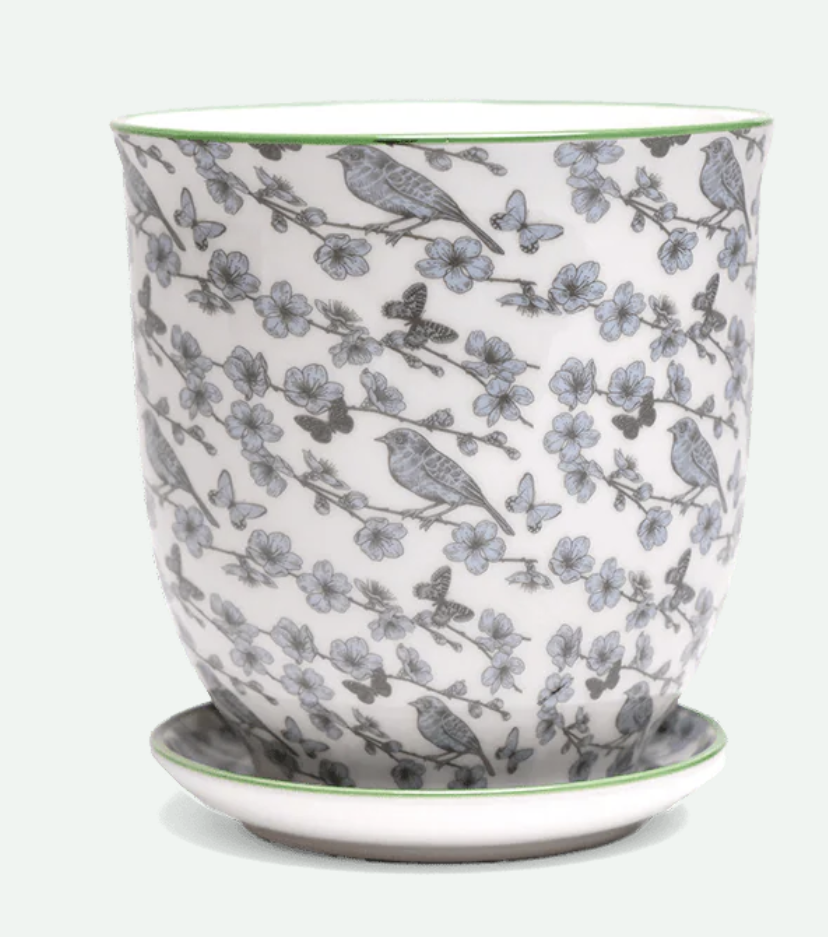 Liberte Porcelain Pot And Saucer - 20 Styles/2 Sizes
