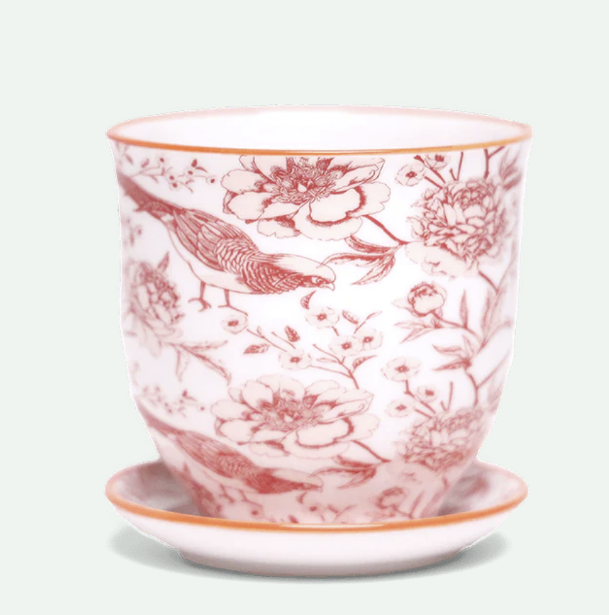 Liberte Porcelain Pot And Saucer - 20 Styles/2 Sizes