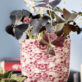 Liberte Porcelain Pot And Saucer - 20 Styles/2 Sizes