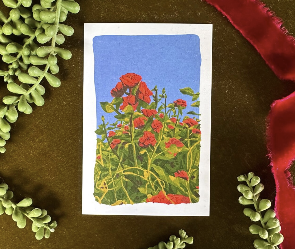 Dr Franken Sara Prints - 17 Styles/2 Sizes