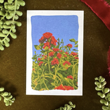 Dr Franken Sara Prints - 17 Styles/2 Sizes