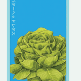 Fruit & Vegetable Seed Packets - 27 Varieties