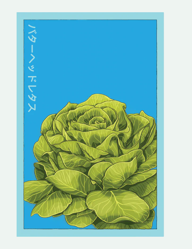 Fruit & Vegetable Seed Packets - 27 Varieties