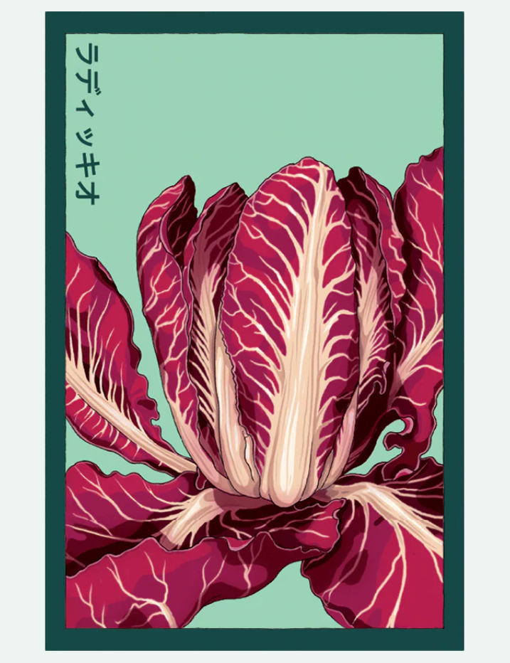 Fruit & Vegetable Seed Packets - 27 Varieties