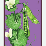 Fruit & Vegetable Seed Packets - 27 Varieties