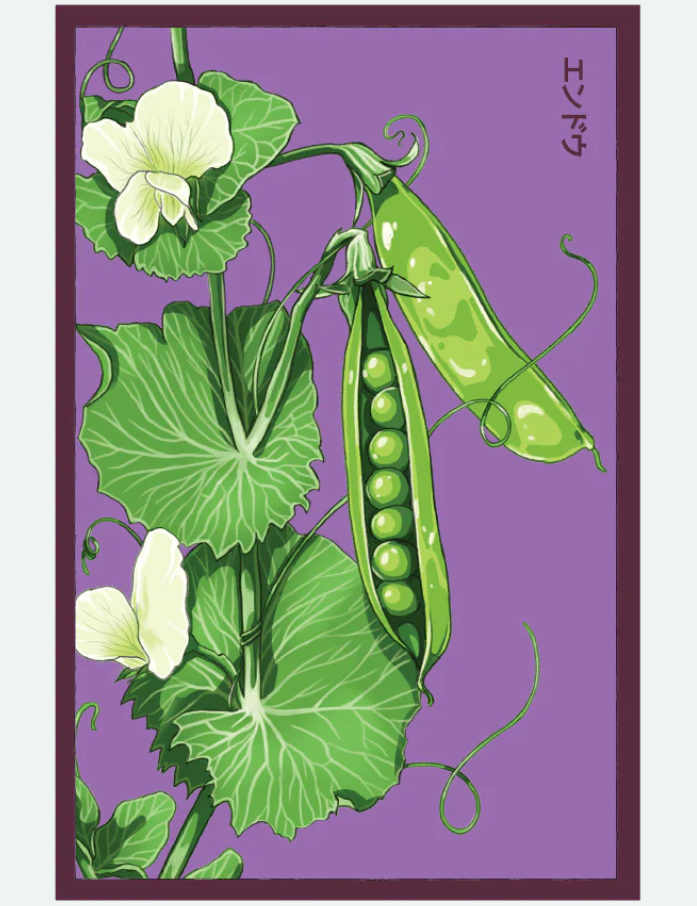 Fruit & Vegetable Seed Packets - 27 Varieties