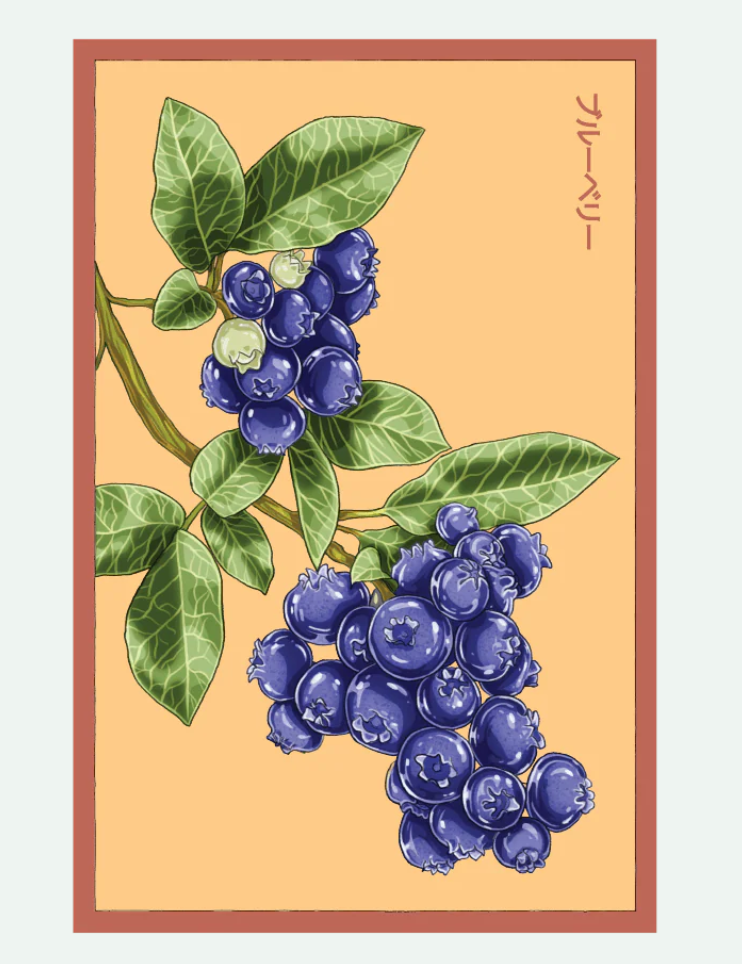 Fruit & Vegetable Seed Packets - 27 Varieties