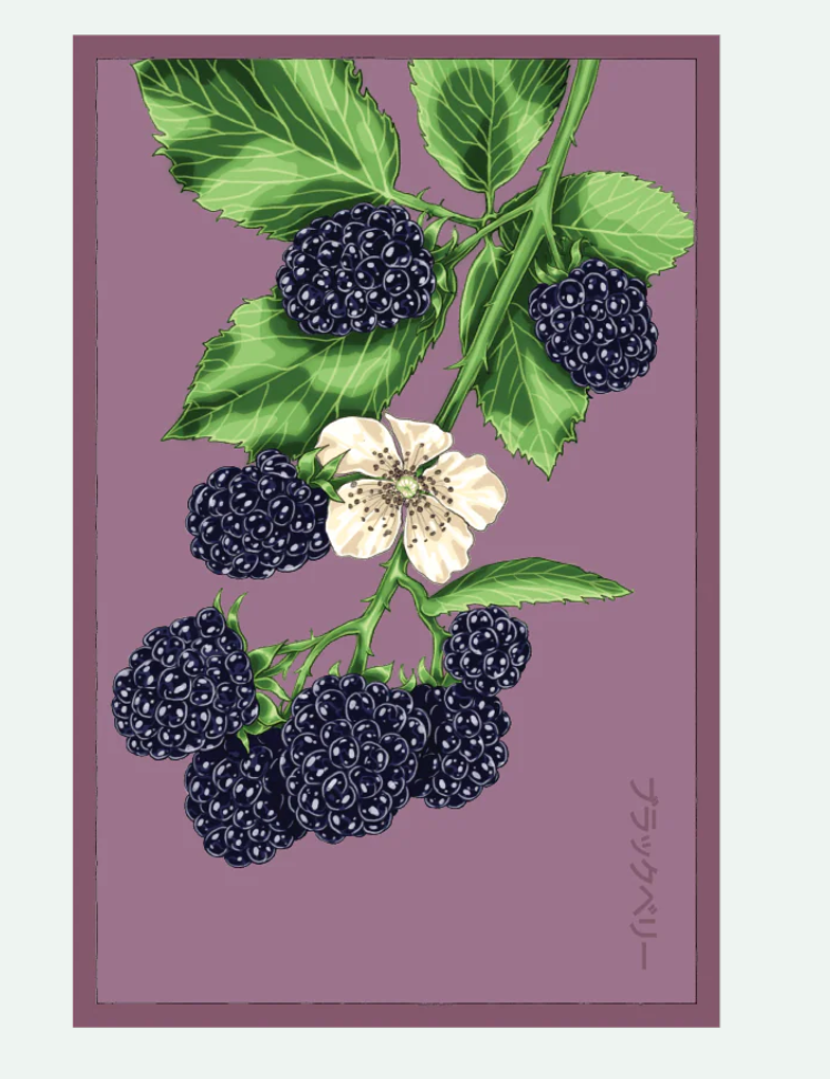 Fruit & Vegetable Seed Packets - 27 Varieties