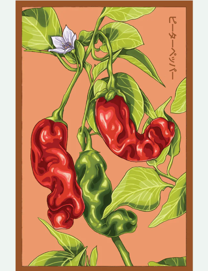 Fruit & Vegetable Seed Packets - 27 Varieties