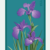 Flower & Indoor Plant Seed Packets - 29 Varieties