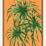 Flower & Indoor Plant Seed Packets - 29 Varieties
