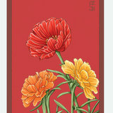 Flower & Indoor Plant Seed Packets - 29 Varieties