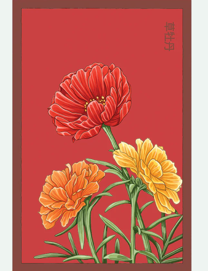 Flower & Indoor Plant Seed Packets - 29 Varieties
