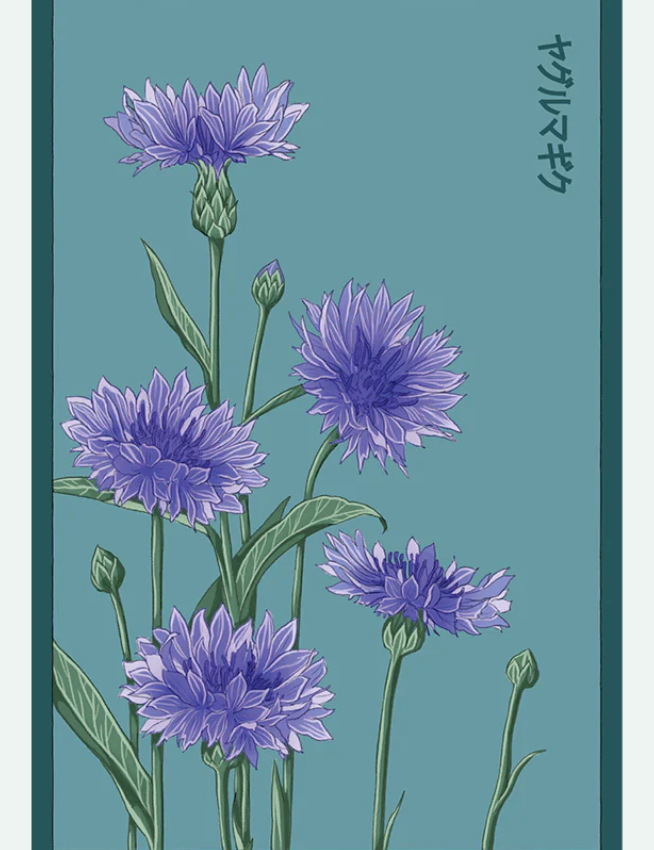 Flower & Indoor Plant Seed Packets - 29 Varieties