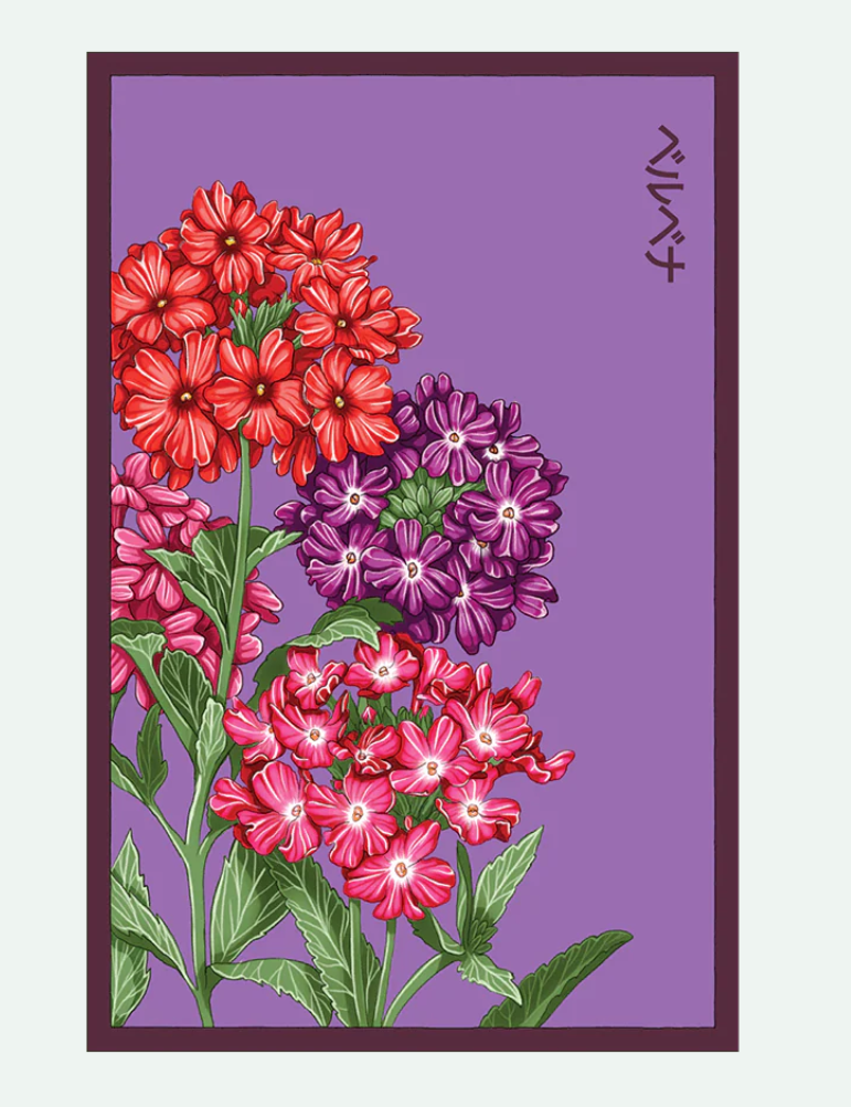 Flower & Indoor Plant Seed Packets - 29 Varieties