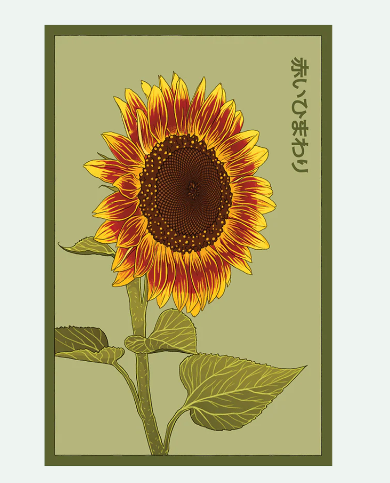Flower & Indoor Plant Seed Packets - 29 Varieties