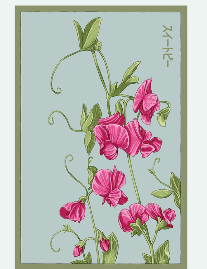 Flower & Indoor Plant Seed Packets - 29 Varieties