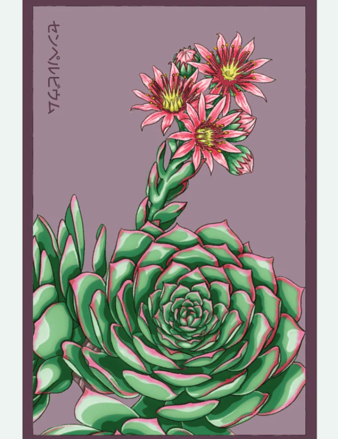 Flower & Indoor Plant Seed Packets - 29 Varieties