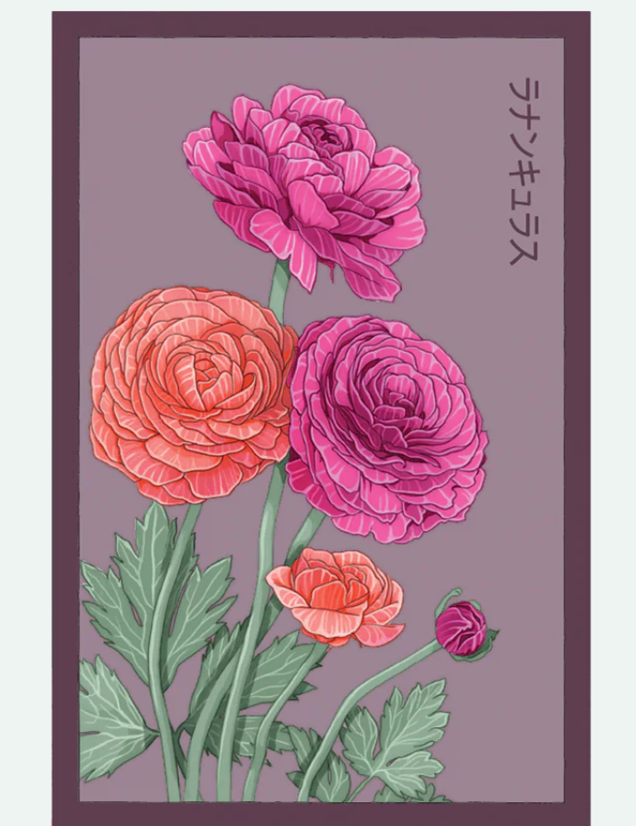 Flower & Indoor Plant Seed Packets - 29 Varieties