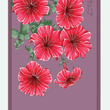 Flower & Indoor Plant Seed Packets - 29 Varieties