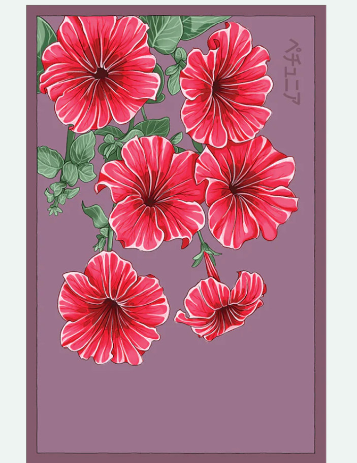 Flower & Indoor Plant Seed Packets - 29 Varieties