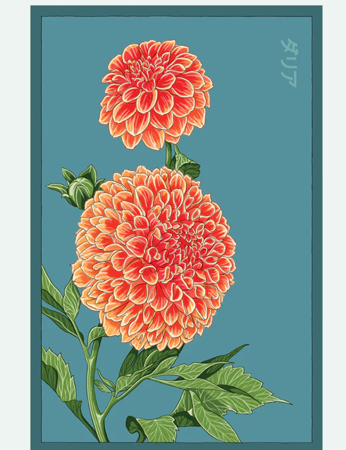 Flower & Indoor Plant Seed Packets - 29 Varieties