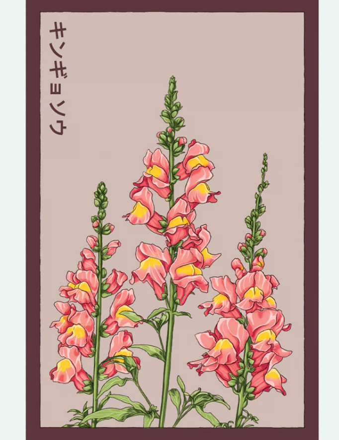 Flower & Indoor Plant Seed Packets - 29 Varieties