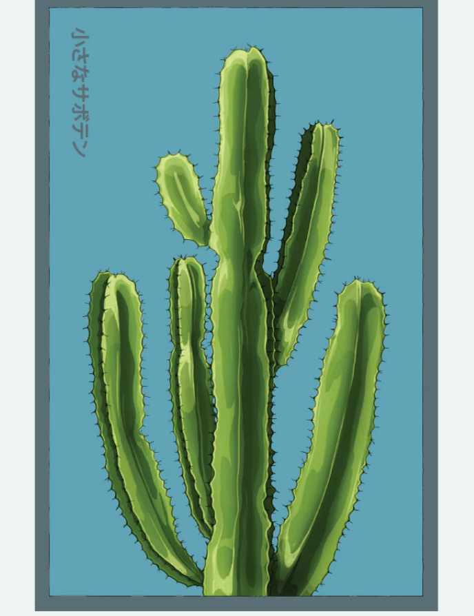 Flower & Indoor Plant Seed Packets - 29 Varieties