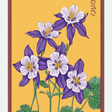 Flower & Indoor Plant Seed Packets - 29 Varieties