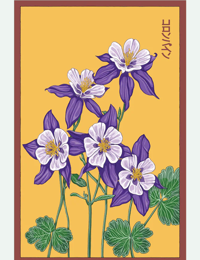 Flower & Indoor Plant Seed Packets - 29 Varieties