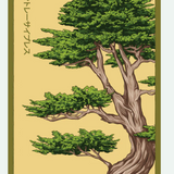Flower & Indoor Plant Seed Packets - 29 Varieties