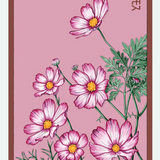 Flower & Indoor Plant Seed Packets - 29 Varieties