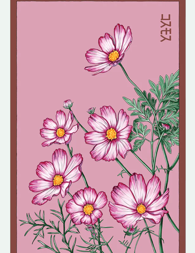 Flower & Indoor Plant Seed Packets - 29 Varieties