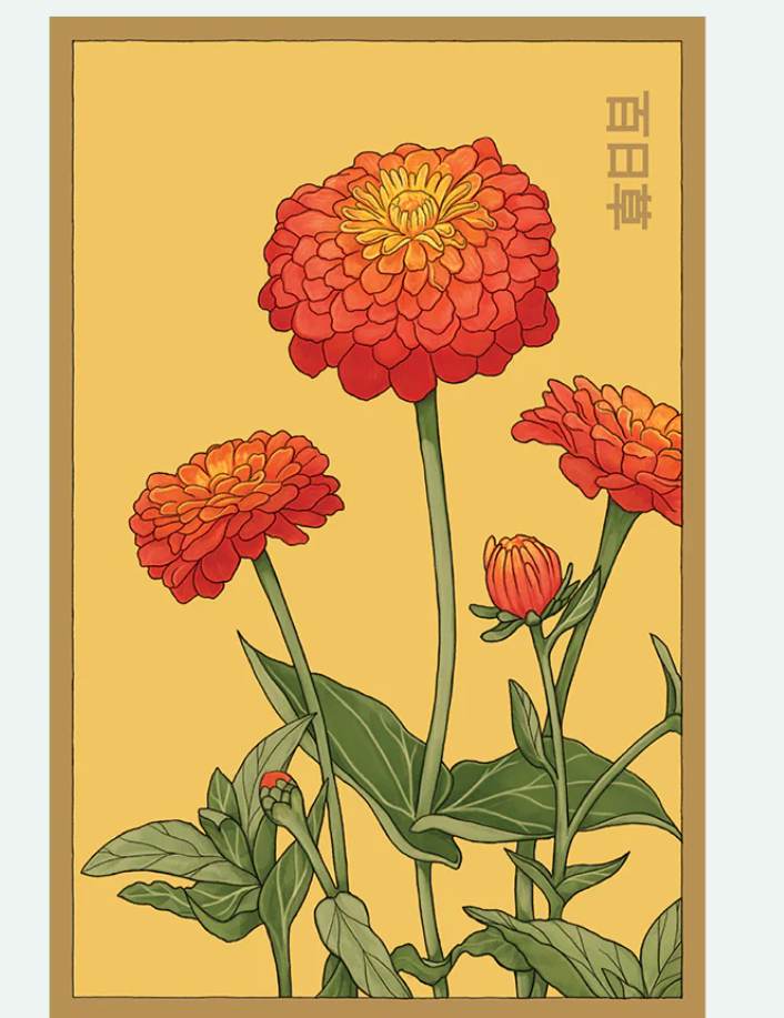 Flower & Indoor Plant Seed Packets - 29 Varieties