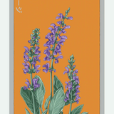 Herb Seed Packets - 9 Varieties