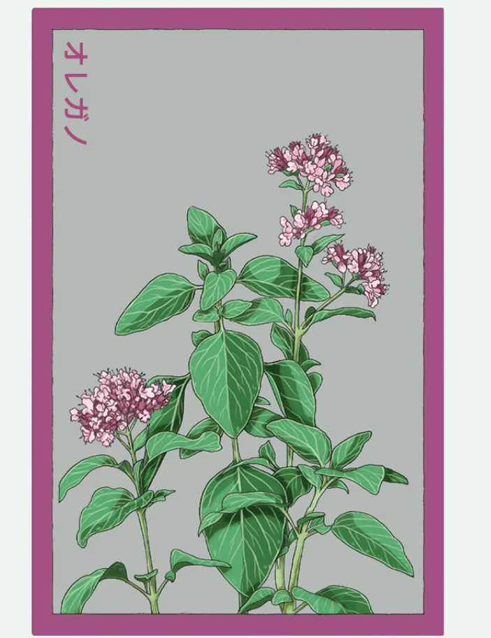 Herb Seed Packets - 9 Varieties
