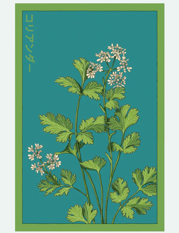 Herb Seed Packets - 9 Varieties