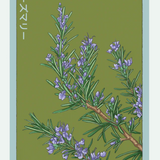 Herb Seed Packets - 9 Varieties