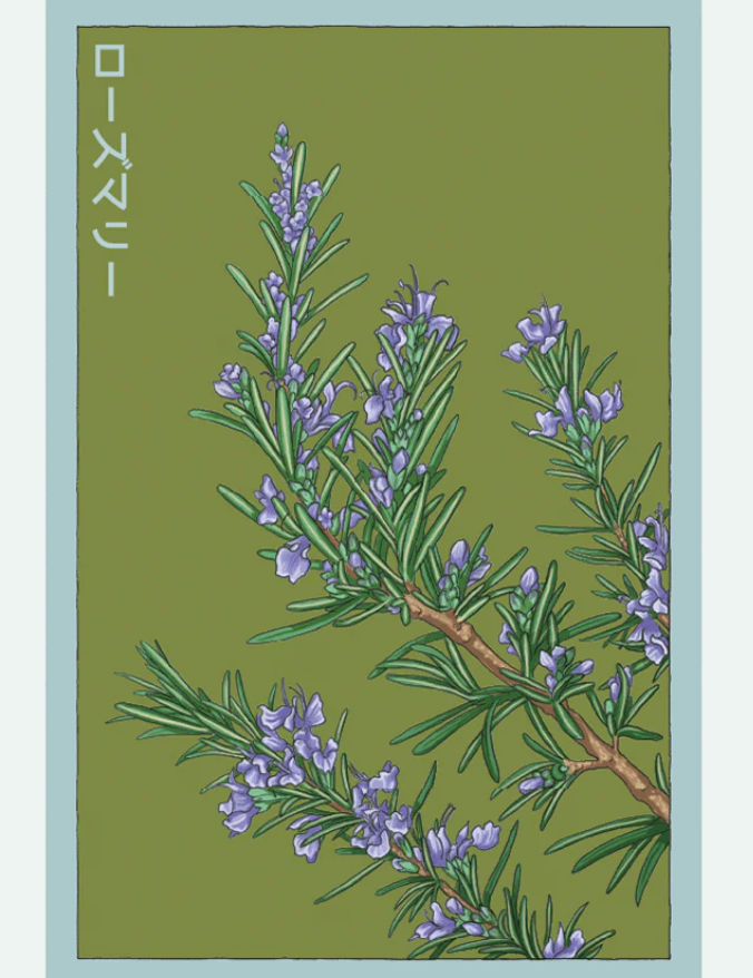 Herb Seed Packets - 9 Varieties