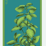 Herb Seed Packets - 9 Varieties