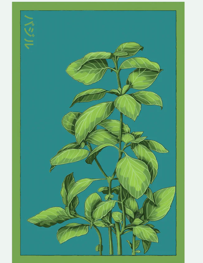 Herb Seed Packets - 9 Varieties