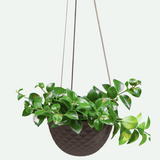 Mini Mofo Hanging Planter - 2 Colors