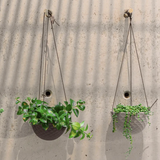 Mini Mofo Hanging Planter - 2 Colors