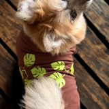 The Planted Pup T-Shirts - 2 Styles/4 Sizes