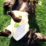 The Planted Pup T-Shirts - 2 Styles/4 Sizes
