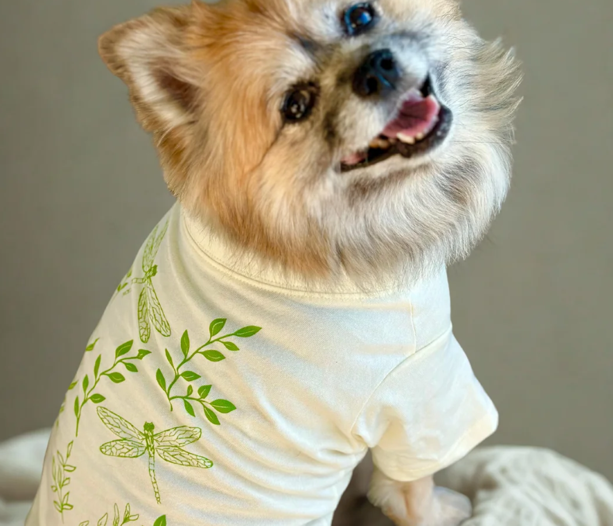 The Planted Pup T-Shirts - 2 Styles/4 Sizes